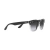 Ray-Ban Iris RB 4471 (66308G)