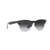 Ray-Ban Iris RB 4471 (66308G)