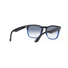 Ray-Ban Steve RB 4487 (663219)