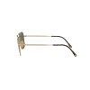 Ray-Ban Caravan Titanium RB 8136 (913658)