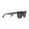 Ray-Ban Wayfarer Reverse RB R0502S (6707GR)