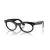 Ray-Ban Wayfarer Oval RX 2242V (2000) - RB 2242V 2000