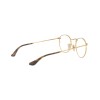 Ray-Ban Round Metal RX 3447V (2945) - RB 3447V 2945
