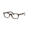 Ray-Ban RX 5228F (2012) - RB 5228F 2012