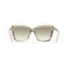 Salvatore Ferragamo SF1102S (251)