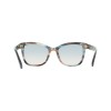 Salvatore Ferragamo SF2108S (314)
