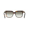 Salvatore Ferragamo SF2109S (240)