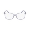 Salvatore Ferragamo SF2954 (050)