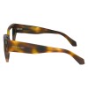 Salvatore Ferragamo SF2972 (240)