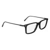 Salvatore Ferragamo SF2977 (001)