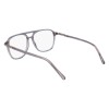 Salvatore Ferragamo SF3006 (020)