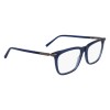 Salvatore Ferragamo SF3007 (432)