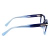 Salvatore Ferragamo SF3009 (415)