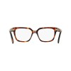 Salvatore Ferragamo SF3056 (240)