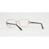 Sferoflex SF 2572 (488)