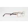 Sferoflex SF 2572 (488)