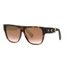 Roberto Cavalli SRC013 (0748)