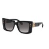 Roberto Cavalli SRC056M (0700)