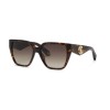 Roberto Cavalli SRC137 (0743)