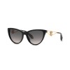 Roberto Cavalli SRC158M (0700)