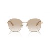 Swarovski SK 7012D (401311)