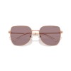 Swarovski SK 7021D (40147N)