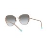 Tiffany TF 3072 (61053C)