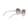 Tiffany TF 3072 (61053C)
