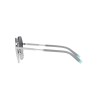 Tiffany TF 3081 (61653C)