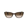 Vogue VO 5293S (W65613)