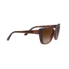 Vogue VO 5337S (238613)