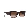 Vogue VO 5462S (W65613)