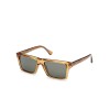 Web WE0383 (39N)
