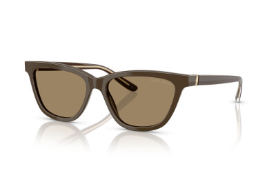 Giorgio Armani AR 8221 (595753)