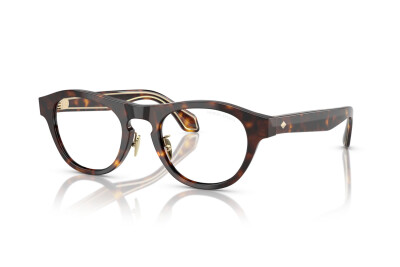 Giorgio Armani AR 8225 (50261W)