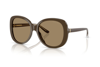 Giorgio Armani AR 8229U (595753)
