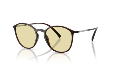 Giorgio Armani AR 8233U (6239M4)