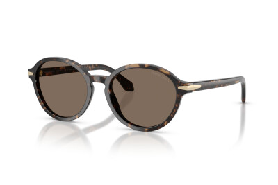 Giorgio Armani AR 8237 (623573)