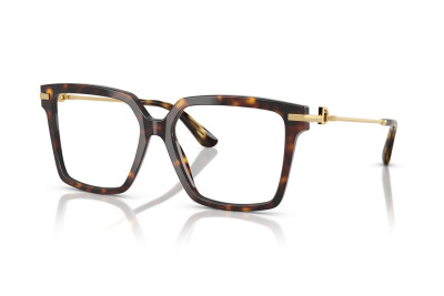Dolce & Gabbana DG 3397 (502)