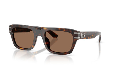 Dolce & Gabbana DG 4496 (502/73)