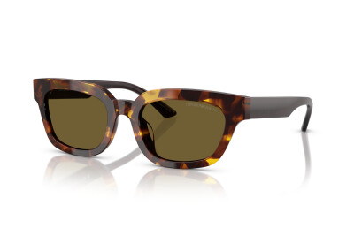 Emporio Armani EA 4233U (618173)