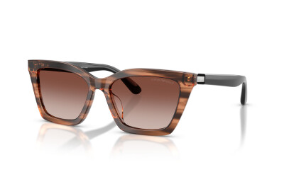 Emporio Armani EA 4250U (626613)