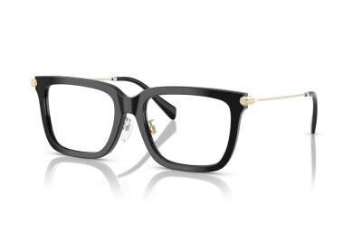 Michael Kors Guilin MK 4152D (3005)