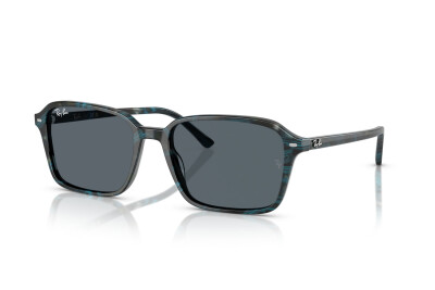 Ray-Ban Raimond RB 2231 (1417R5)