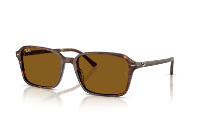 Ray-Ban Raimond RB 2231 (141833)