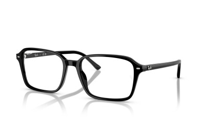 Ray-Ban Raimond RB 2231 (901/GG)
