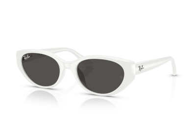 Ray-Ban RB 4457D (677287)
