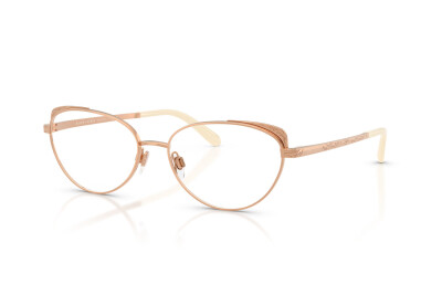Ralph Lauren RL 5131 (9329)