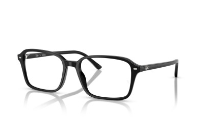 Ray-Ban Raimond RX 5431 (2000) - RB 5431 2000