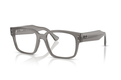 Ray-Ban Laurene RX 7256 (8431) - RB 7256 8431
